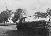 7psk42.jpg