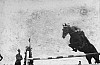 7psk70.jpg